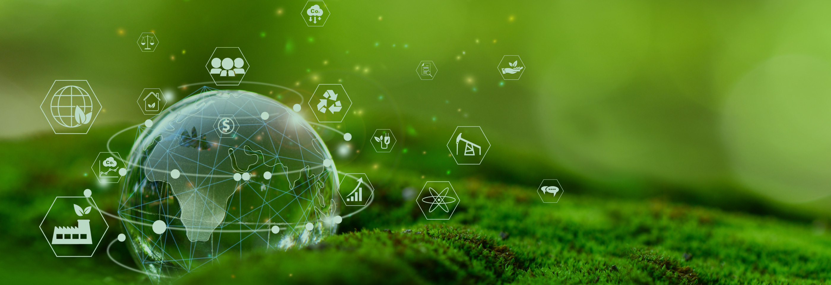 Sustainability
